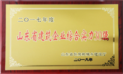 山東岱宗機(jī)械工程有限公司